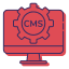 Custom CMS Solutions